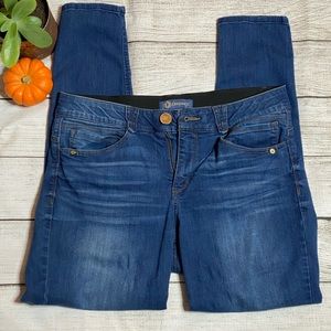 EUC Democracy Stretch “Ab”Solution